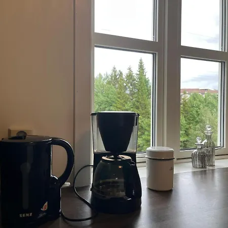 Apartamento Spacious - - Free Parking Voss
